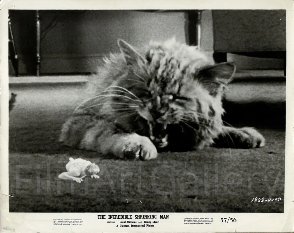 The Incredible Shrinking Man Original Vintage Movie Poster