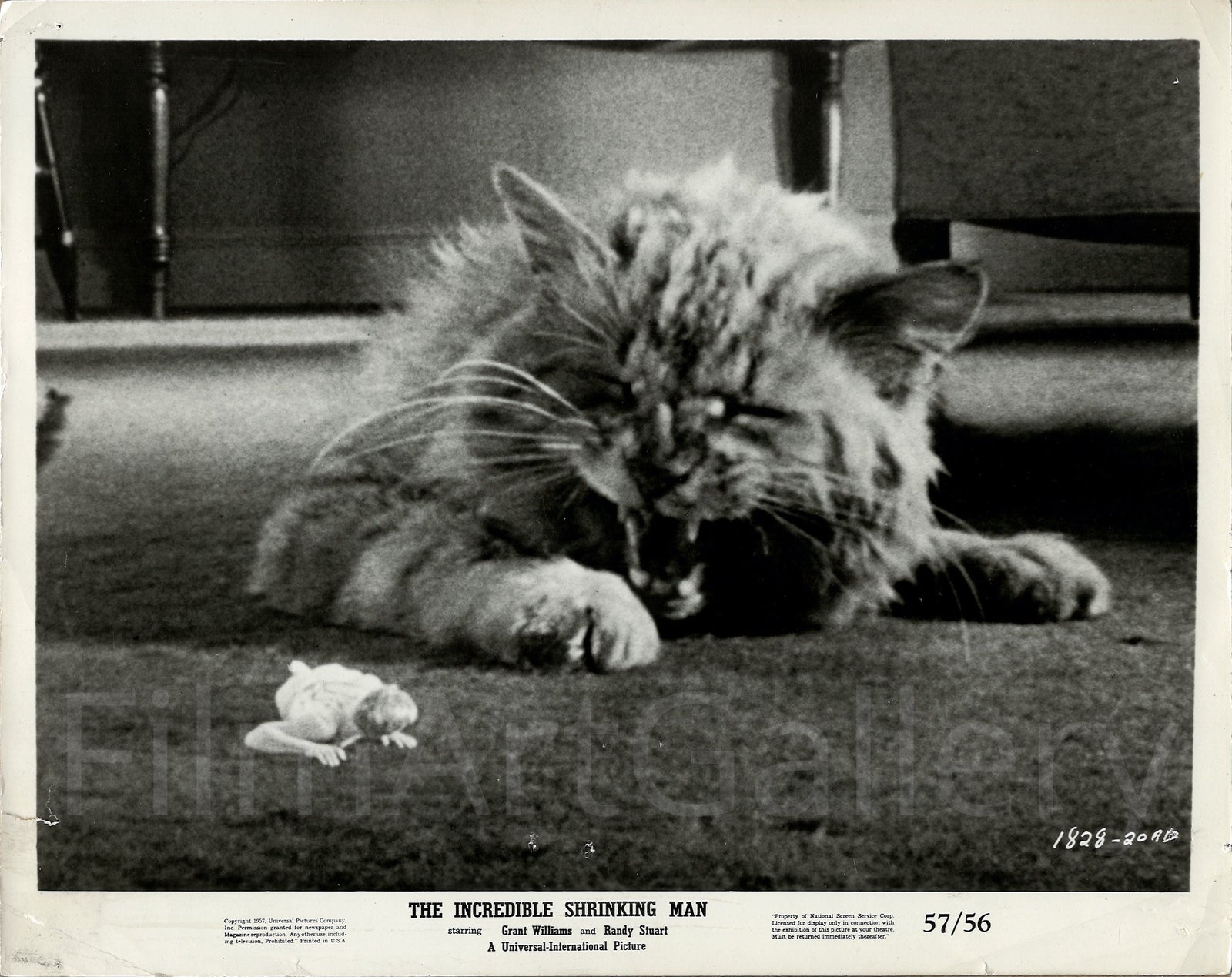 The Incredible Shrinking Man Original Vintage Movie Poster