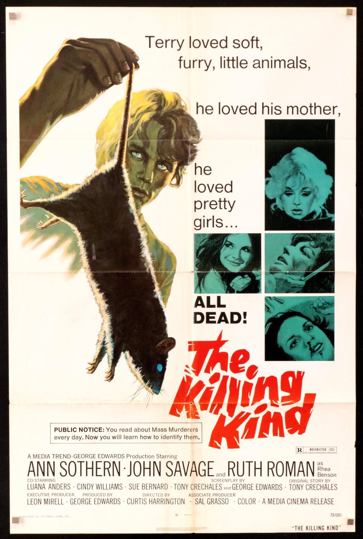 The Killing Kind Original Vintage Movie Poster