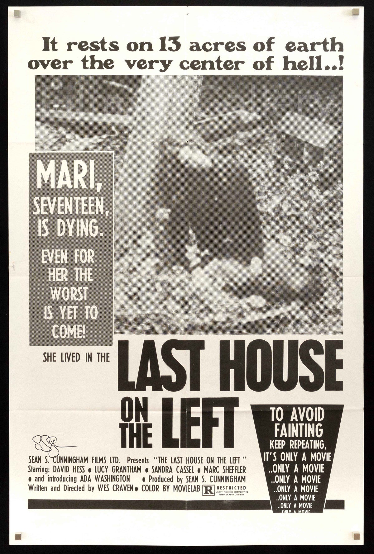 The Last House on the Left Original Vintage Movie Poster