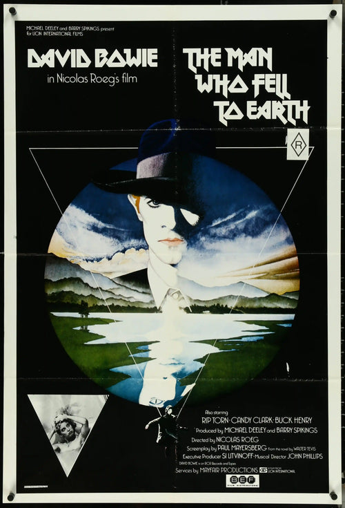 The Man Who Fell To Earth Original Vintage Movie Poster