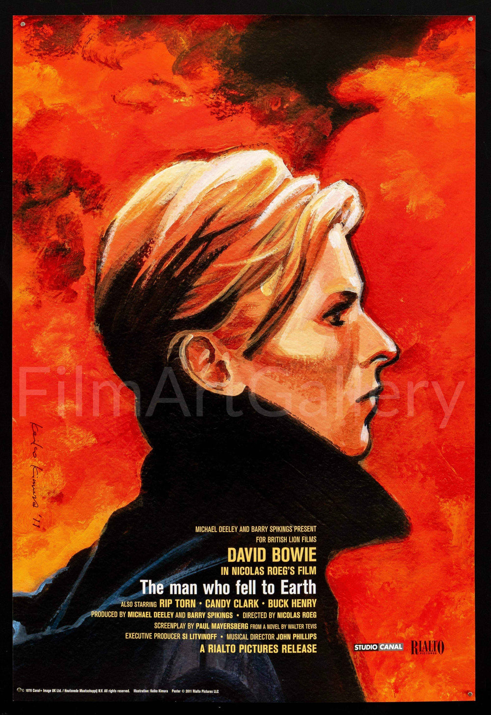 The Man Who Fell To Earth Original Vintage Movie Poster