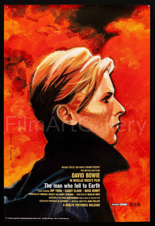 The Man Who Fell To Earth Original Vintage Movie Poster