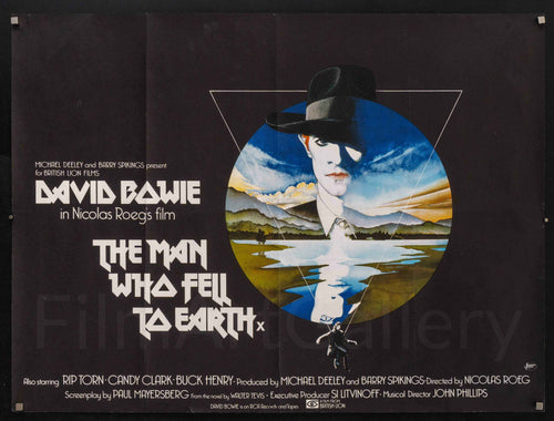 The Man Who Fell To Earth Original Vintage Movie Poster