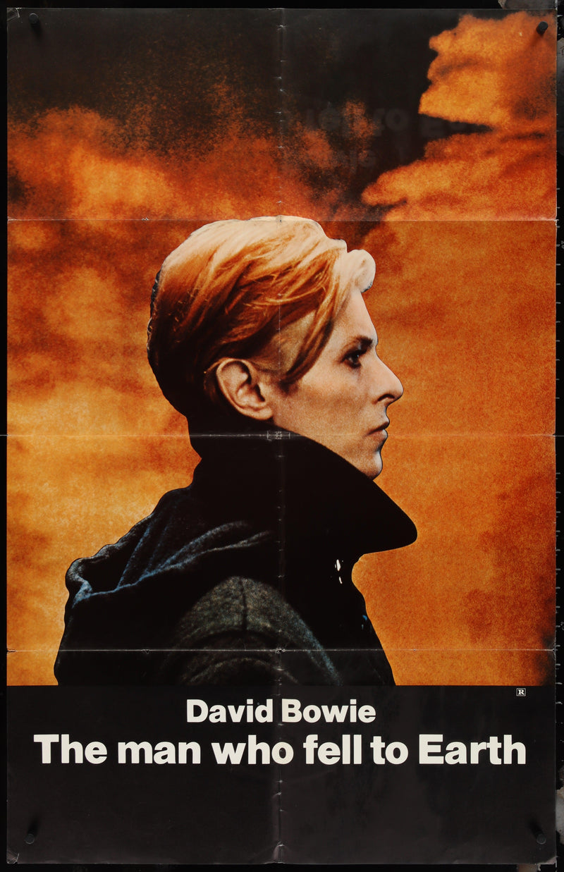 The Man Who Fell to Earth Subway 1 Sheet (29x45) Original Vintage Movie Poster