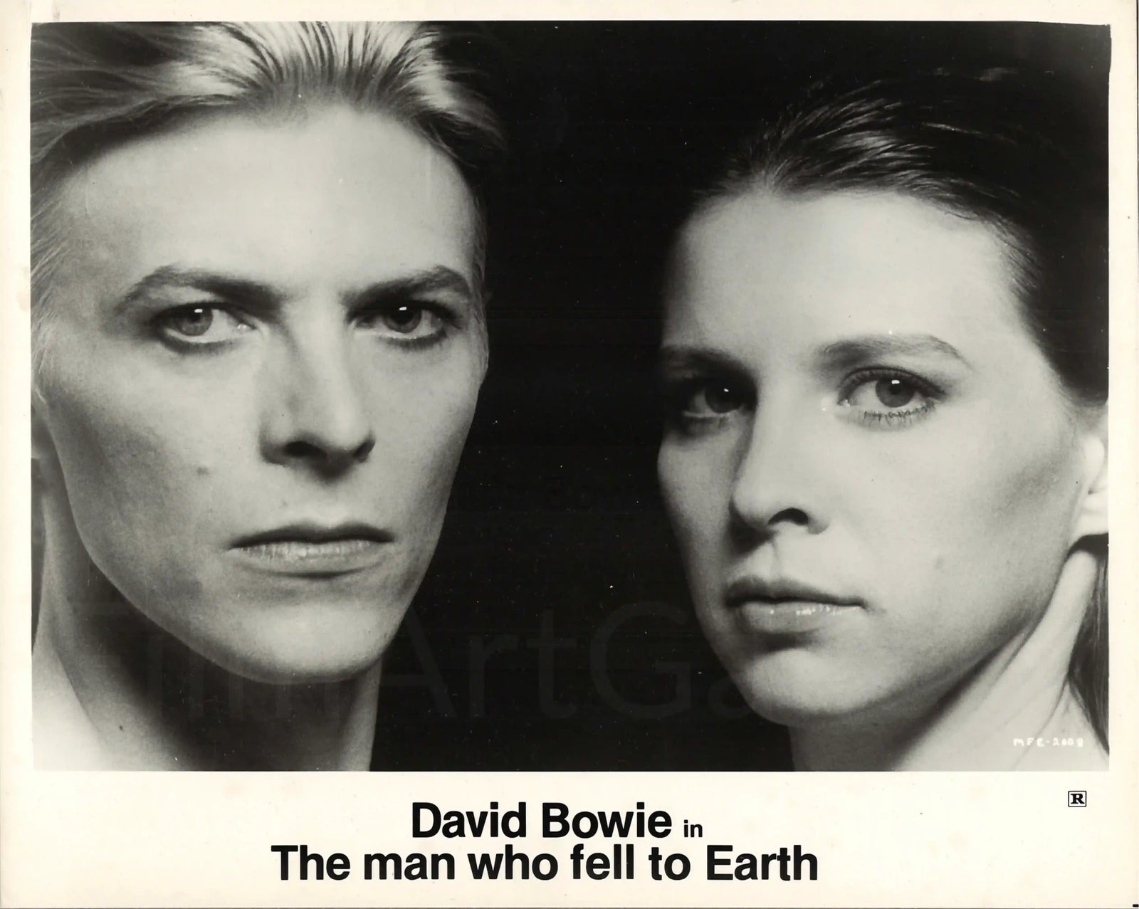 The Man Who Fell to Earth Original Vintage Movie Poster