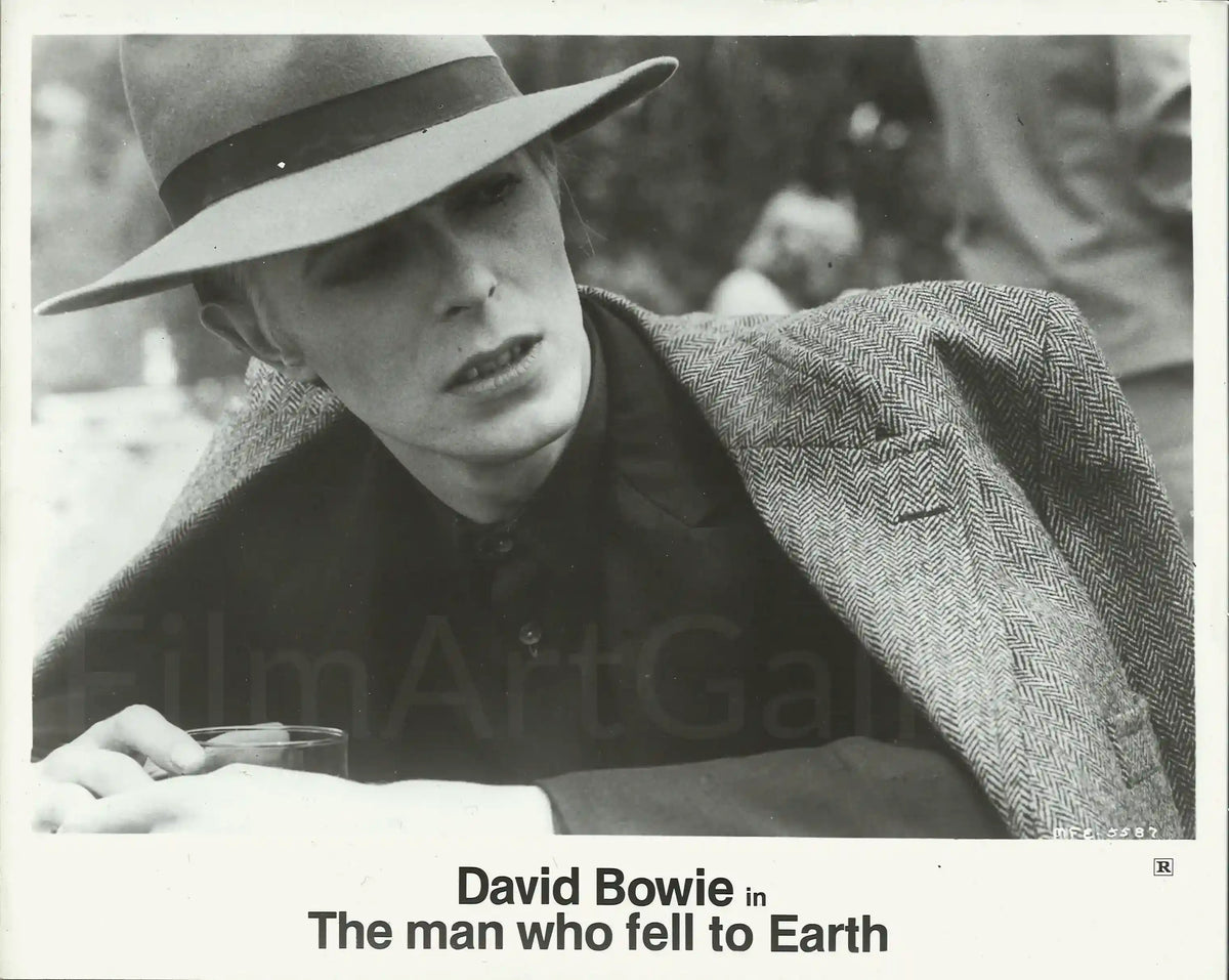 The Man Who Fell to Earth Original Vintage Movie Poster
