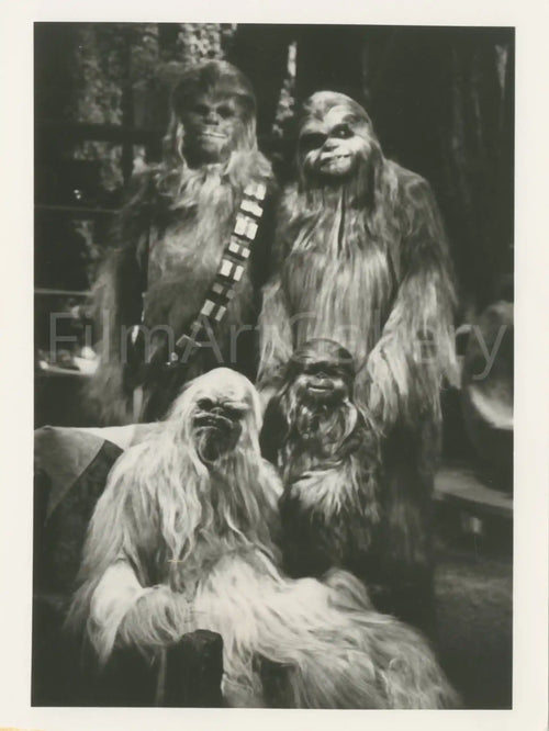 The Star Wars Holiday Special Original Vintage Movie Poster