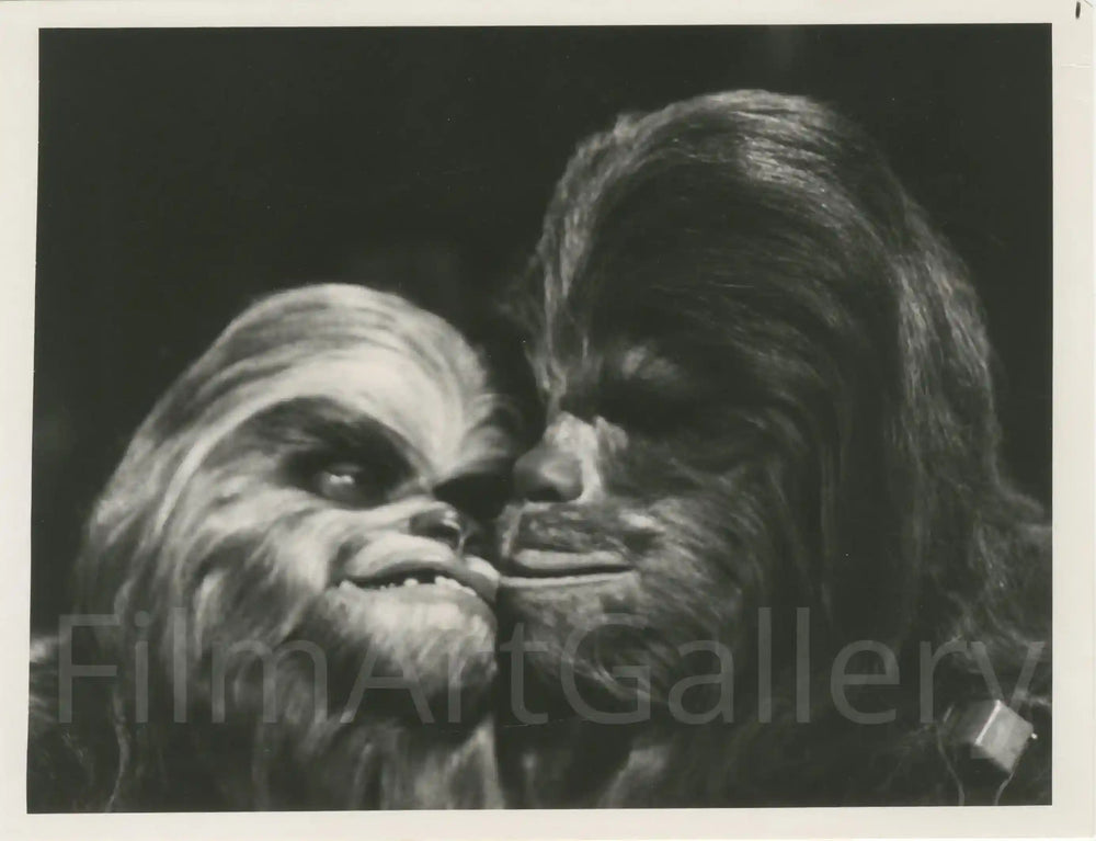 The Star Wars Holiday Special Original Vintage Movie Poster