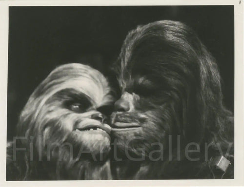 The Star Wars Holiday Special Original Vintage Movie Poster