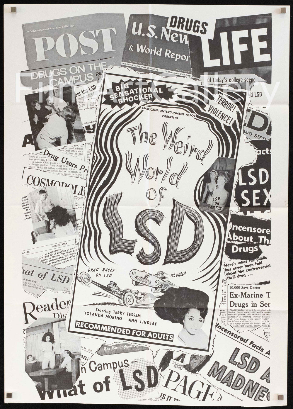 The Weird World of LSD Original Vintage Movie Poster