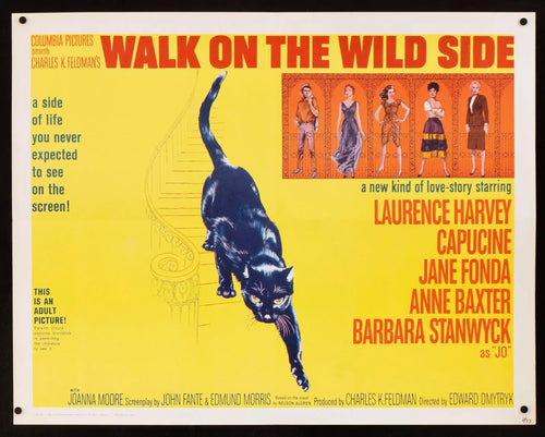 Walk on the Wild Side Original Vintage Movie Poster