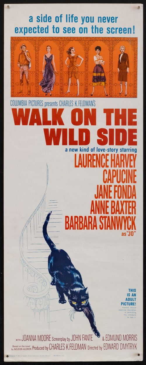 Walk on the Wild Side Original Vintage Movie Poster