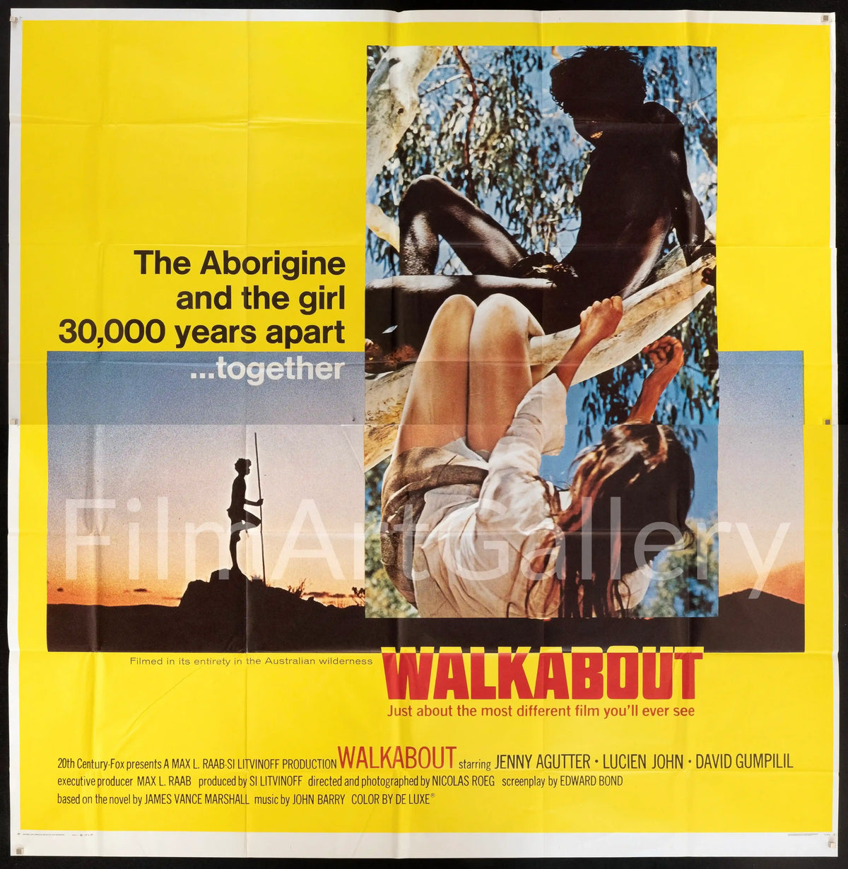 Walkabout Original Vintage Movie Poster