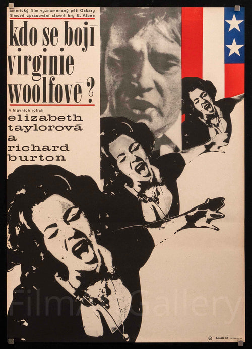 Who's Afraid of Virginia Woolf Original Vintage Movie Poster