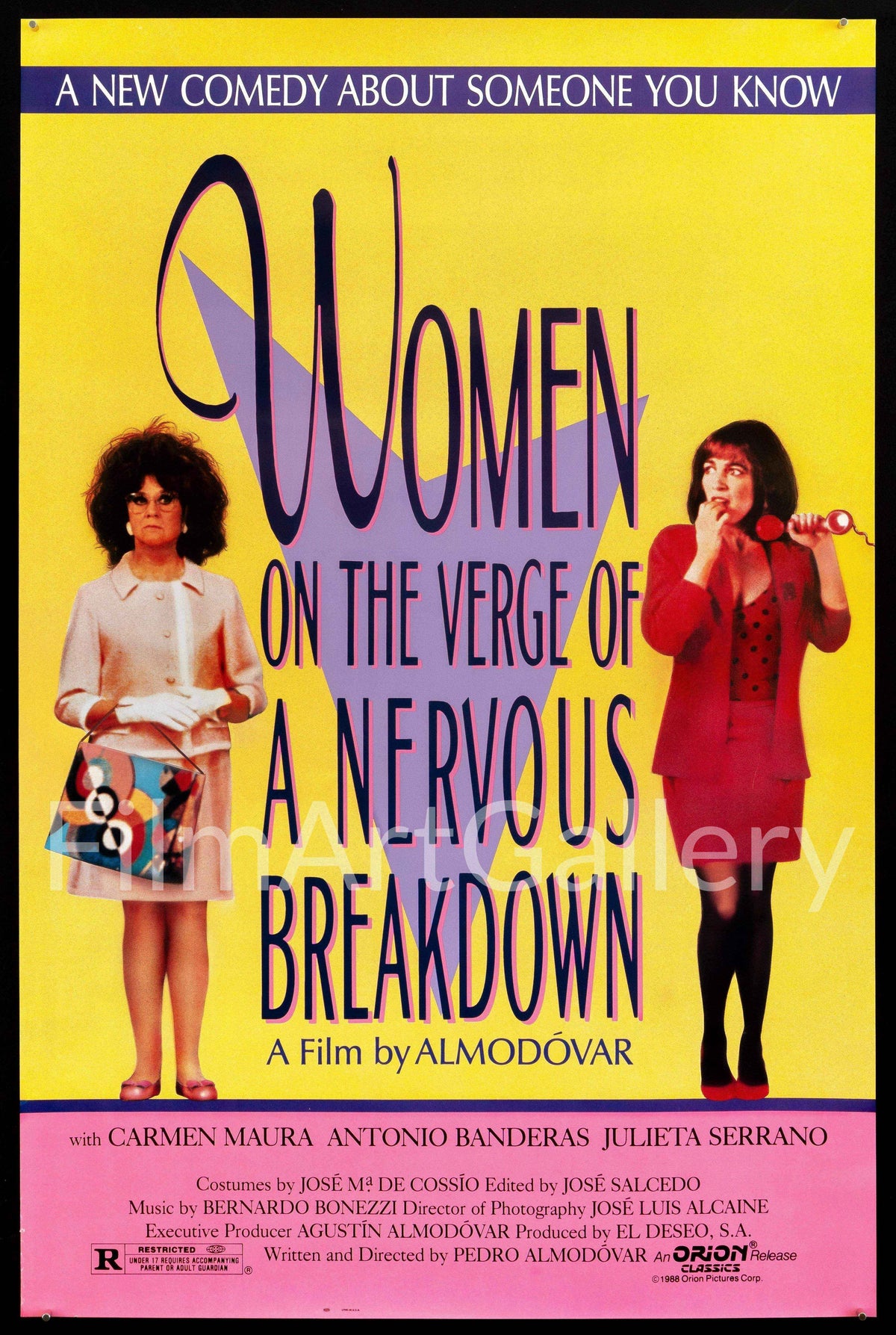 Women on the Verge of a Nervous Breakdown Original Vintage Movie Poster