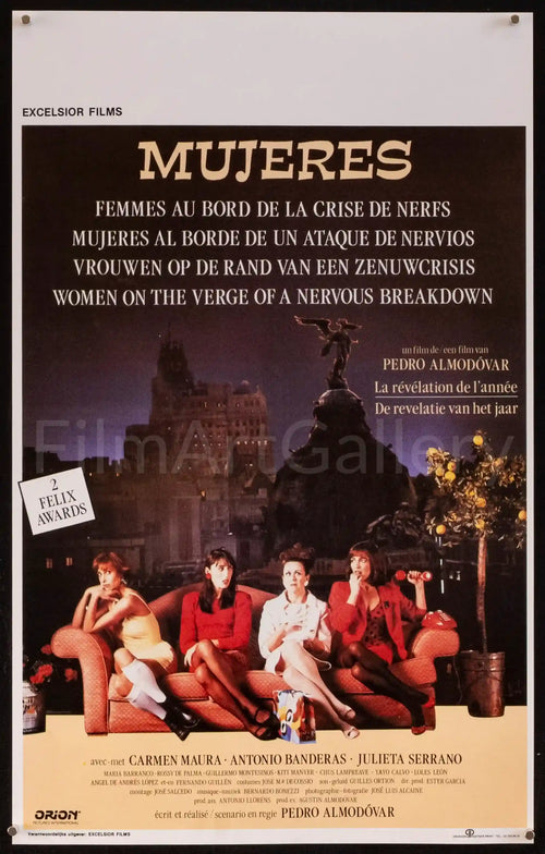 Women on the Verge of a Nervous Breakdown Original Vintage Movie Poster