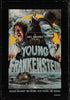 Young Frankenstein 34x49 Original Vintage Movie Poster