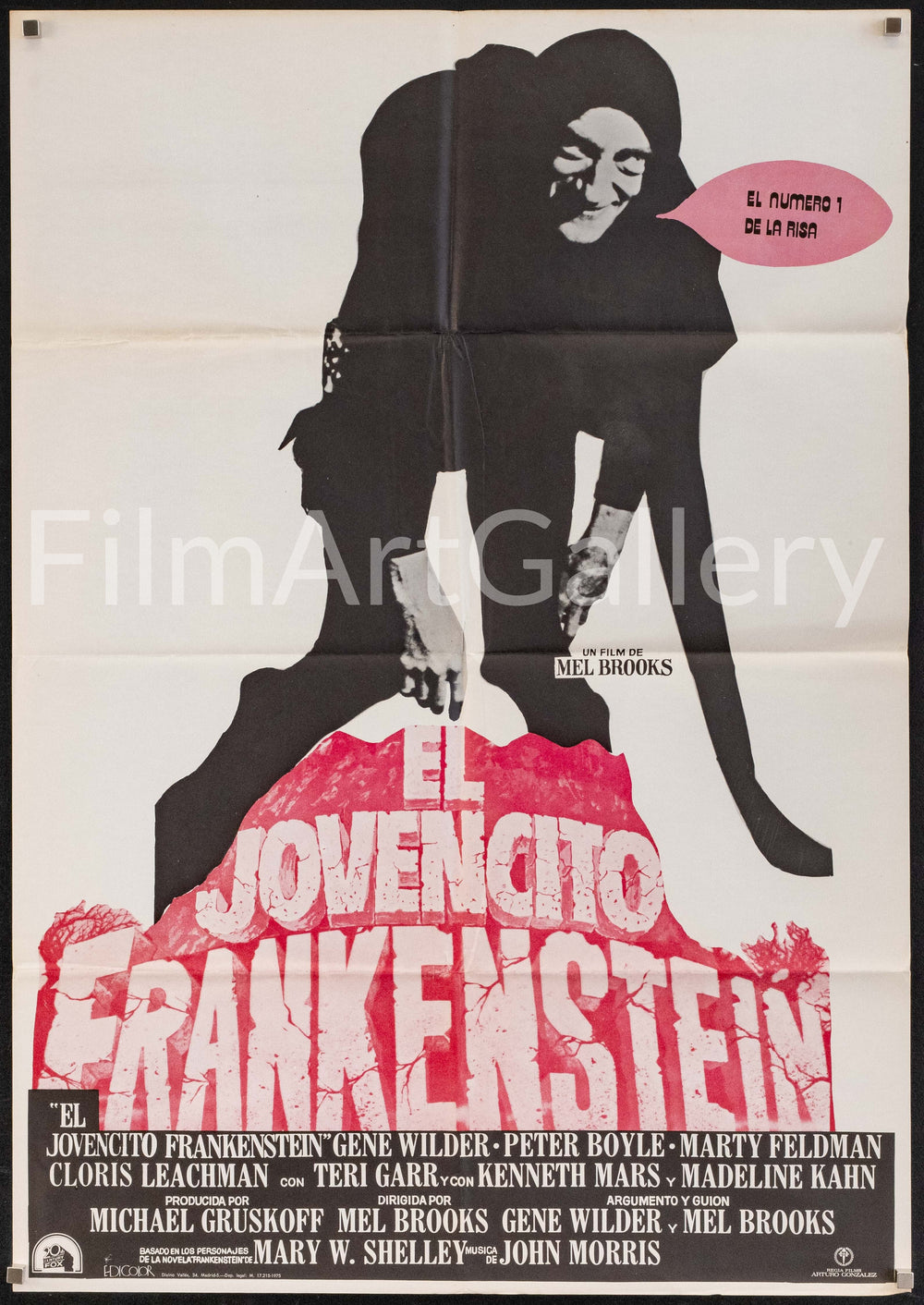 Young Frankenstein Original Vintage Movie Poster