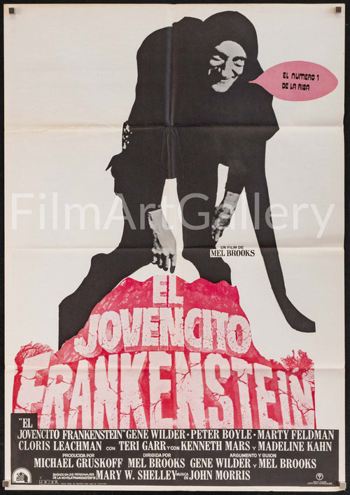 Young Frankenstein Original Vintage Movie Poster