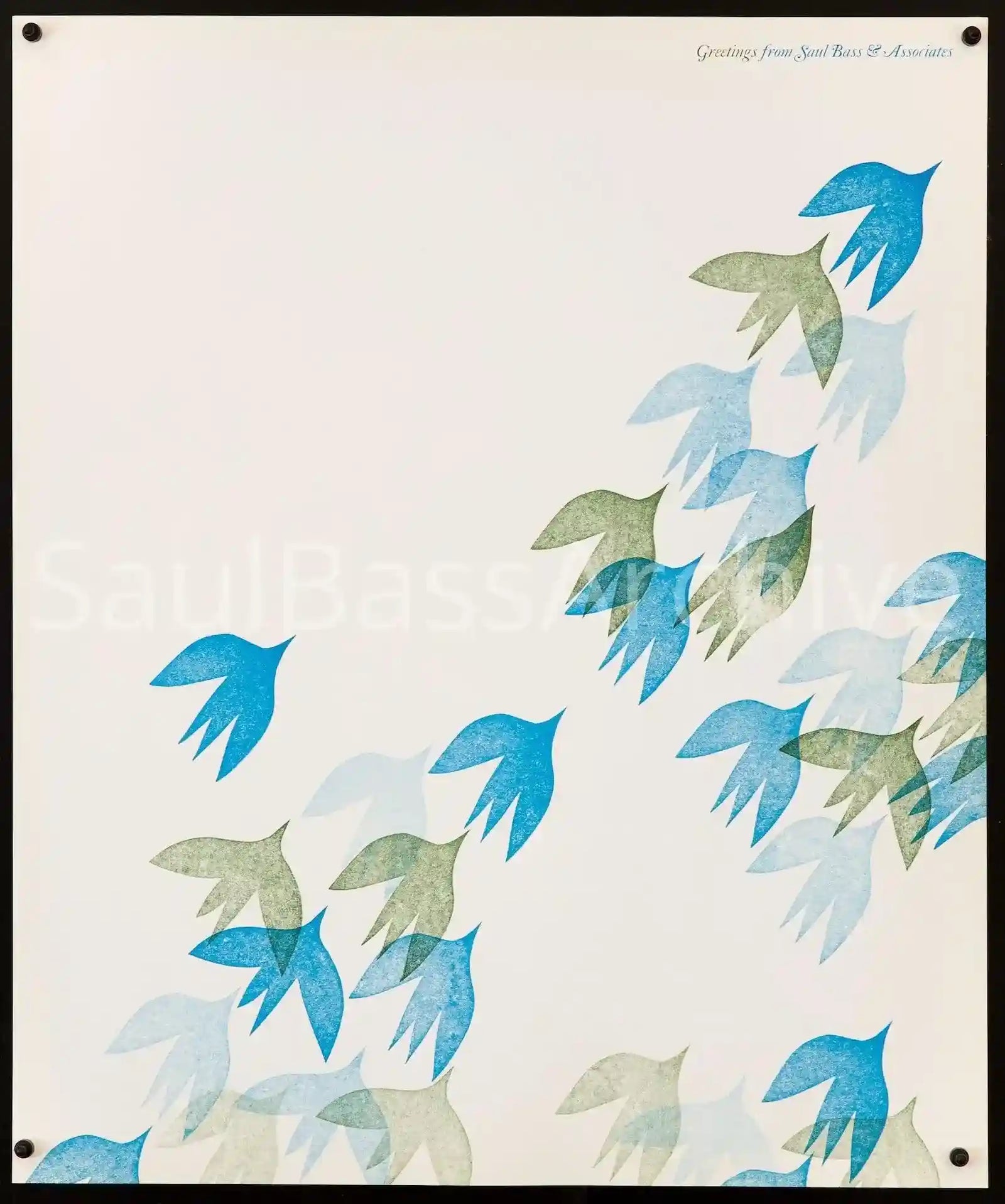 20x24