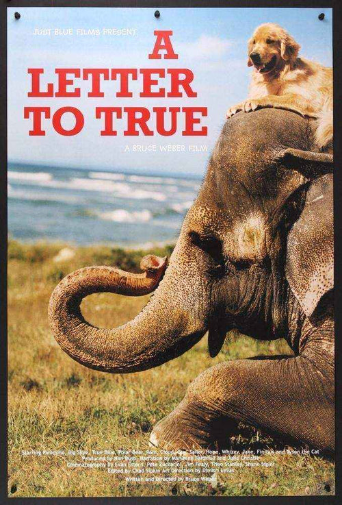A Letter to True Original Vintage Movie Poster