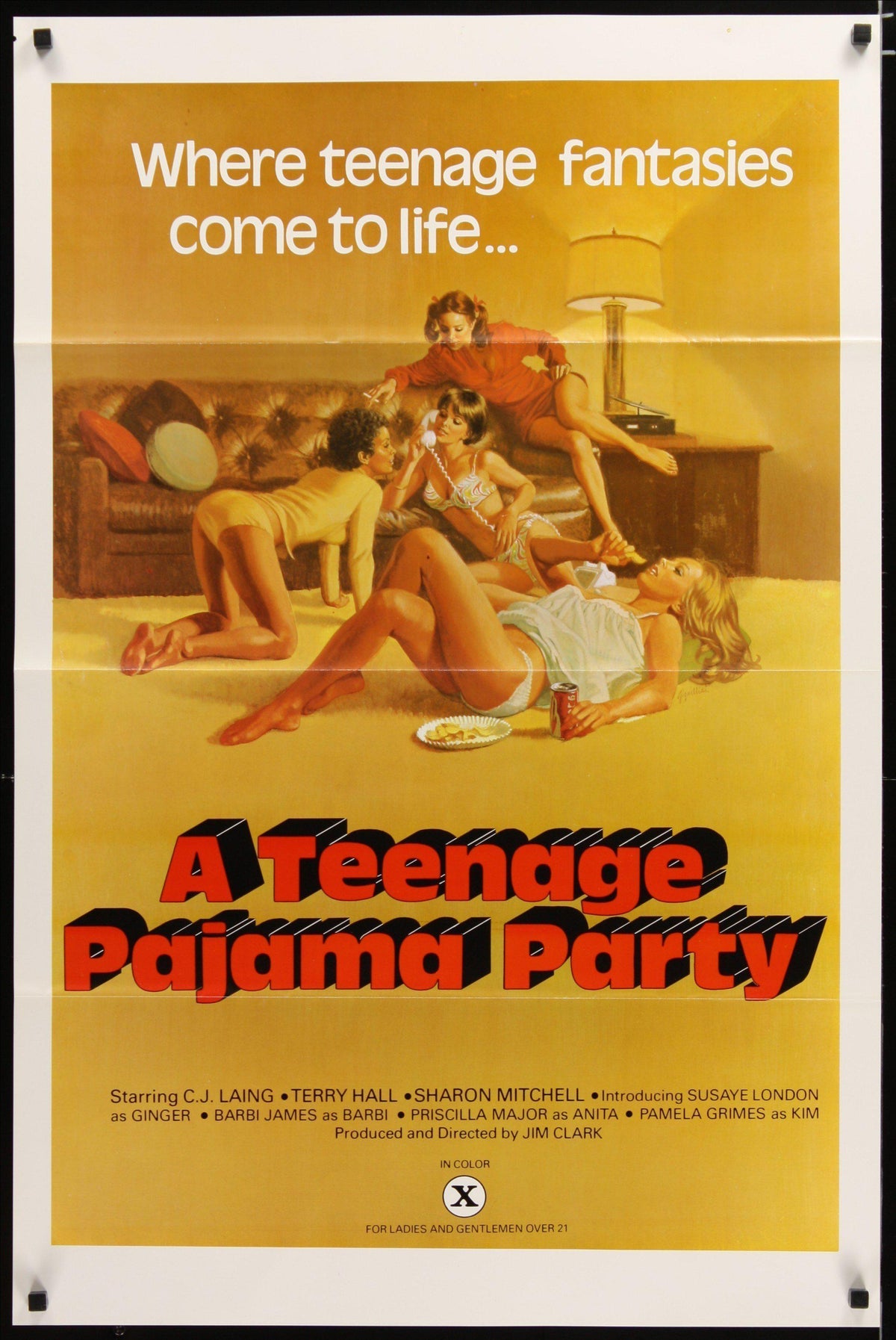 A Teenage Pajama Party Original Vintage Movie Poster