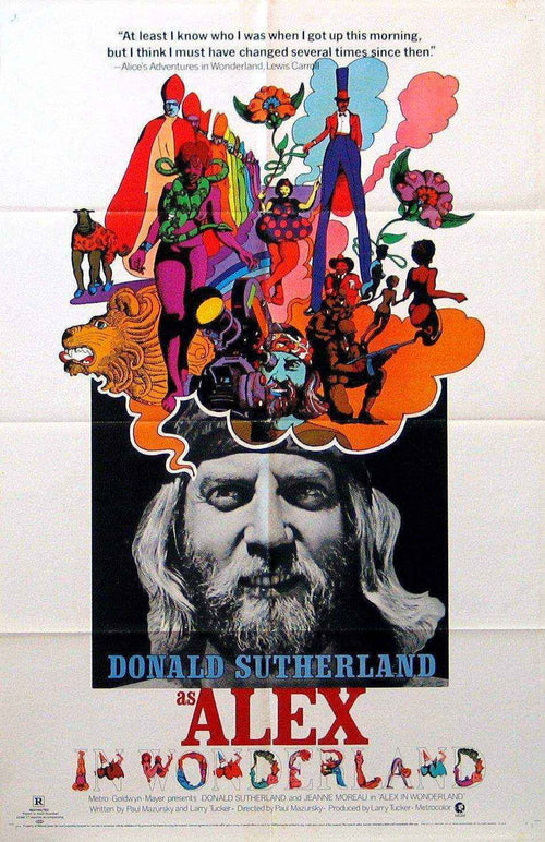 Alex in Wonderland Original Vintage Movie Poster