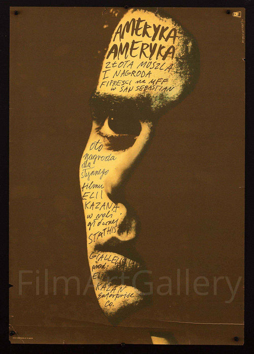 America, America Original Vintage Movie Poster