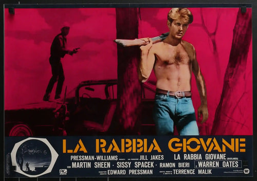 Badlands Original Vintage Movie Poster