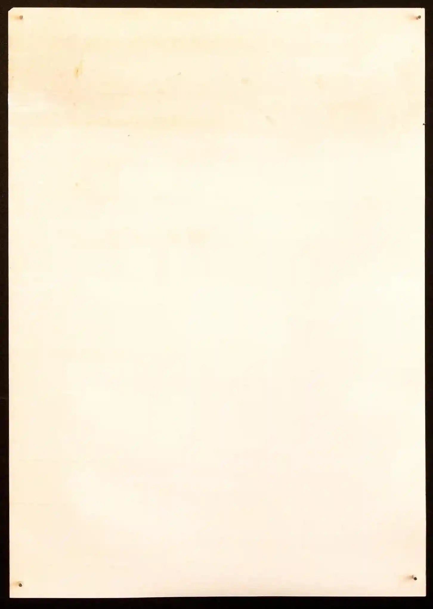 Belladonna Original Vintage Movie Poster