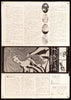 Belladonna Original Vintage Movie Poster