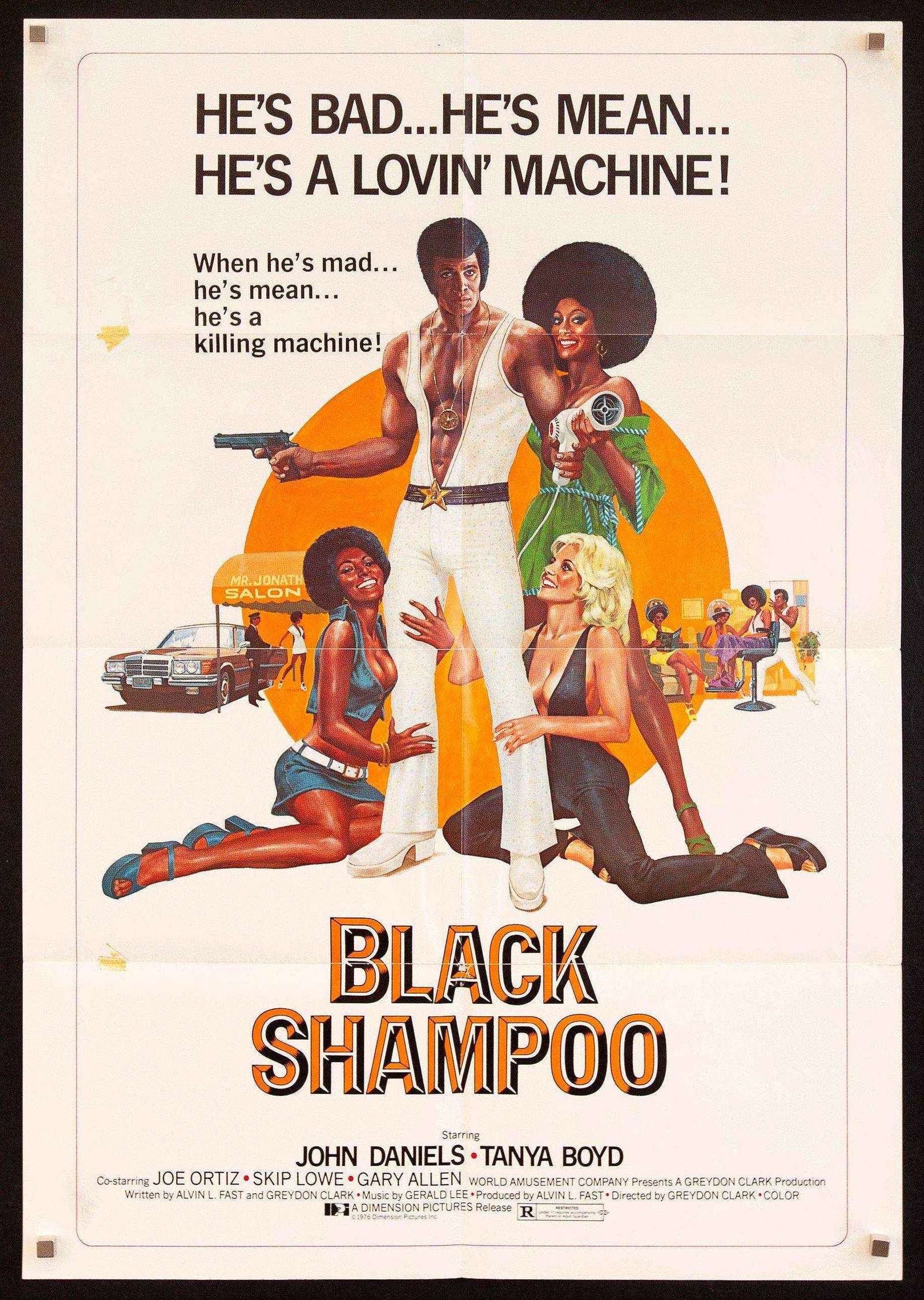 Black Shampoo Original Vintage Movie Poster
