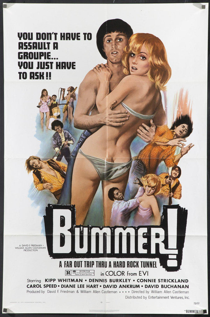 Bummer Original Vintage Movie Poster