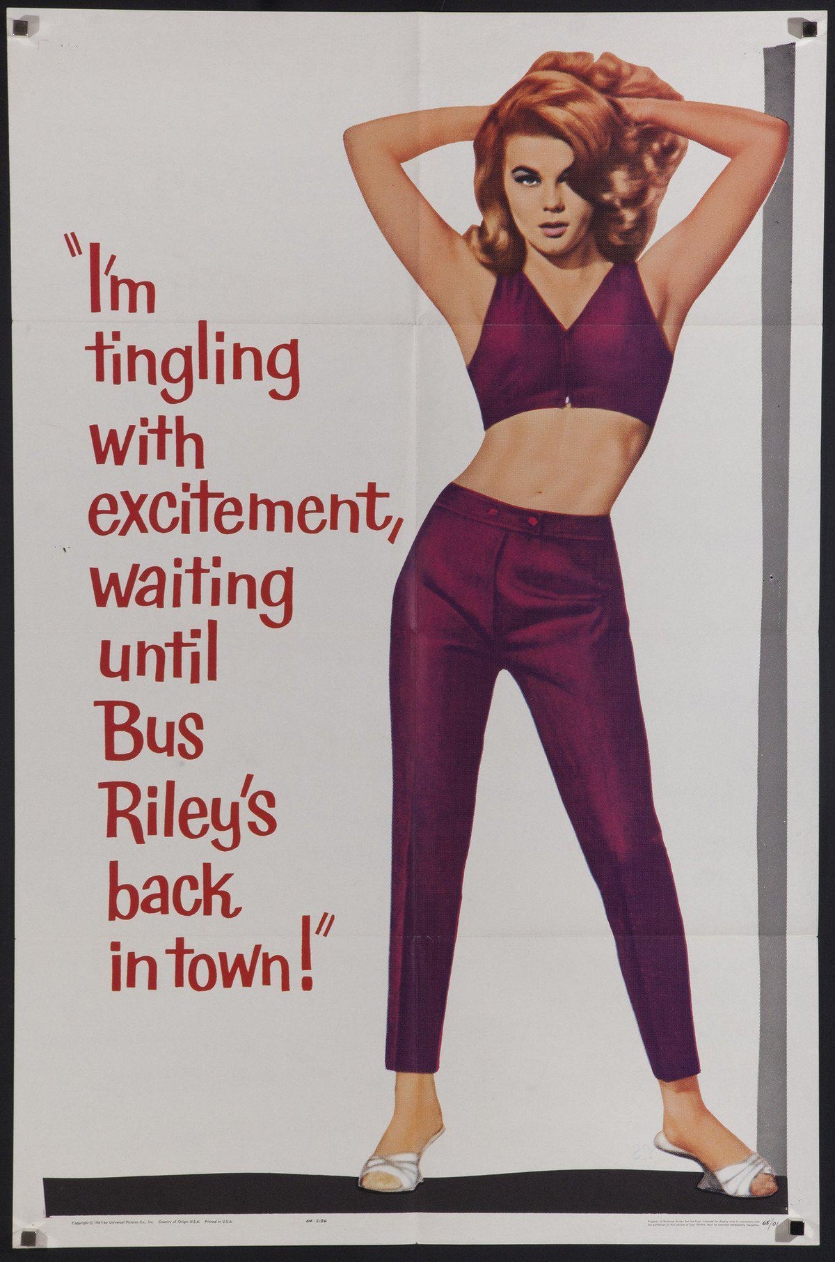 Bus Riley&#39;s Back in Town 1 Sheet (27x41) Original Vintage Movie Poster