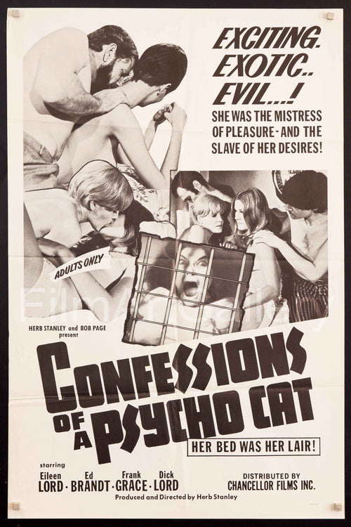 Confessions of a Psycho Cat Original Vintage Movie Poster