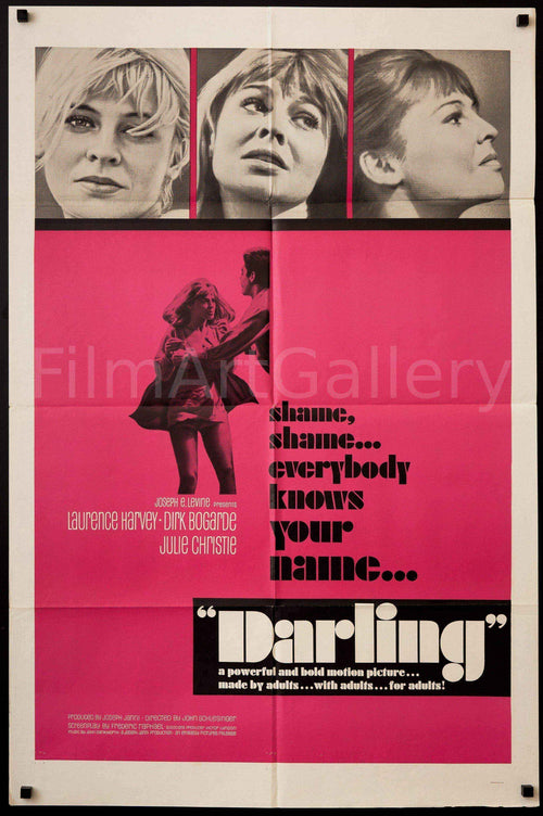 Darling Original Vintage Movie Poster