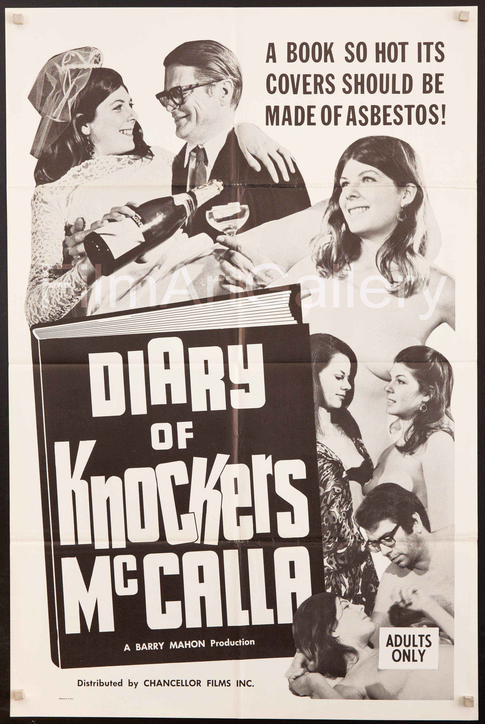 Diary of Knockers McCalla Original Vintage Movie Poster