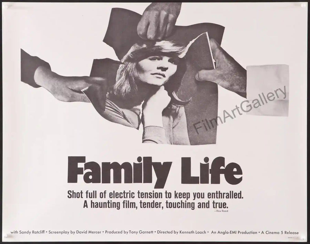 Family Life Original Vintage Movie Poster