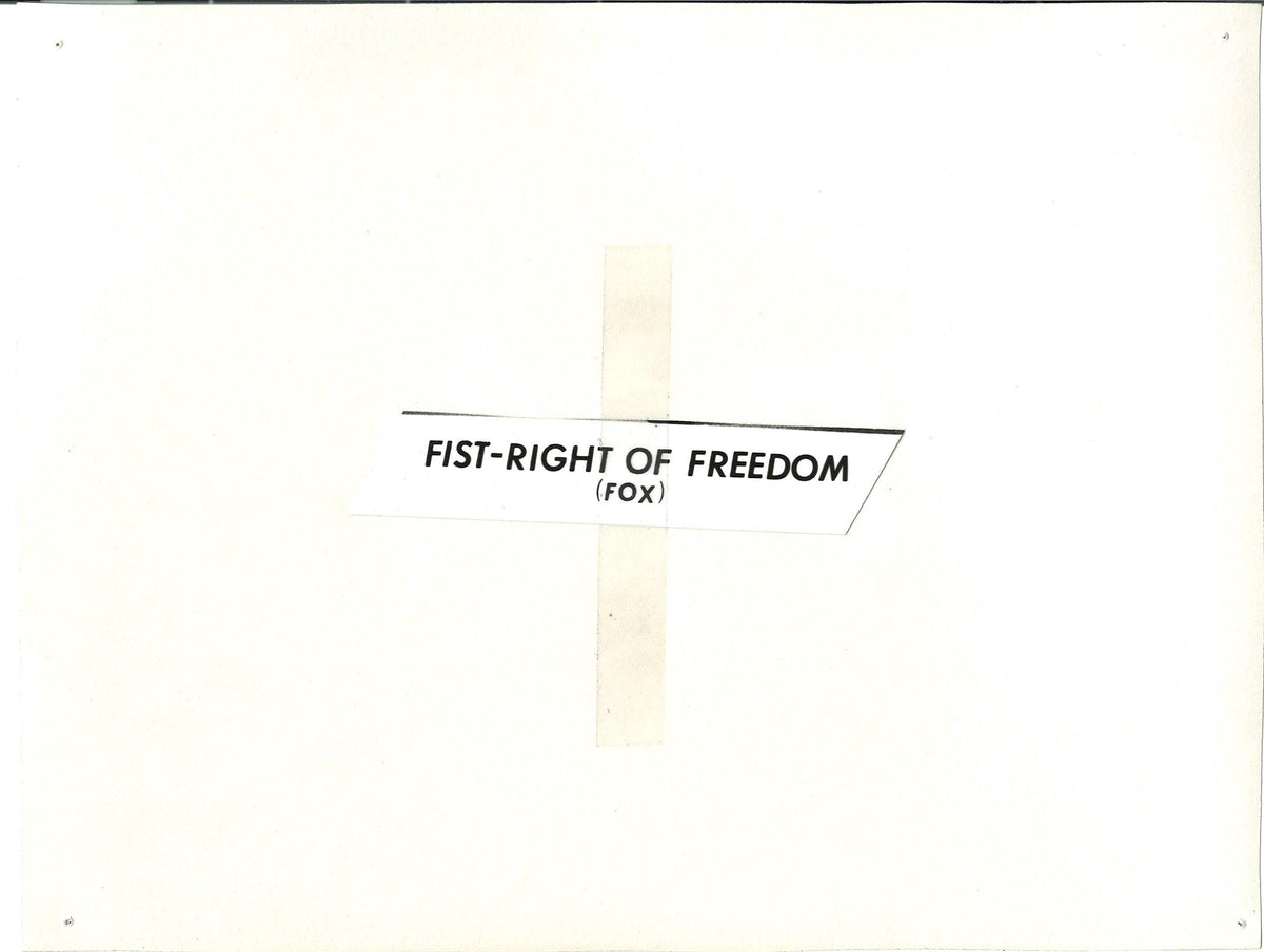 Fox and His Friends Original Vintage Movie Poster