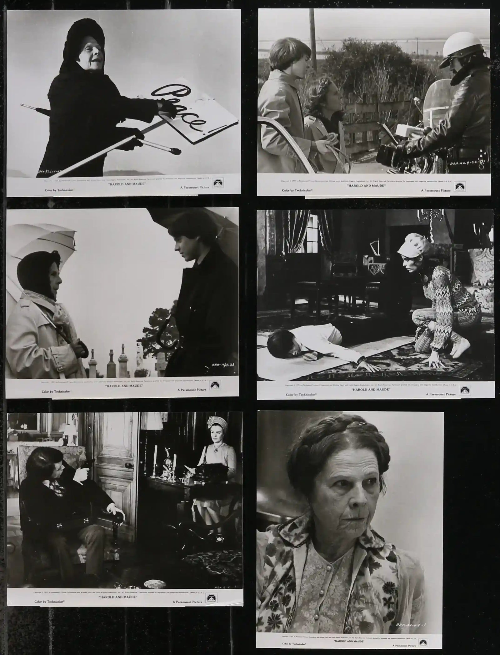 Harold and Maude Original Vintage Movie Poster
