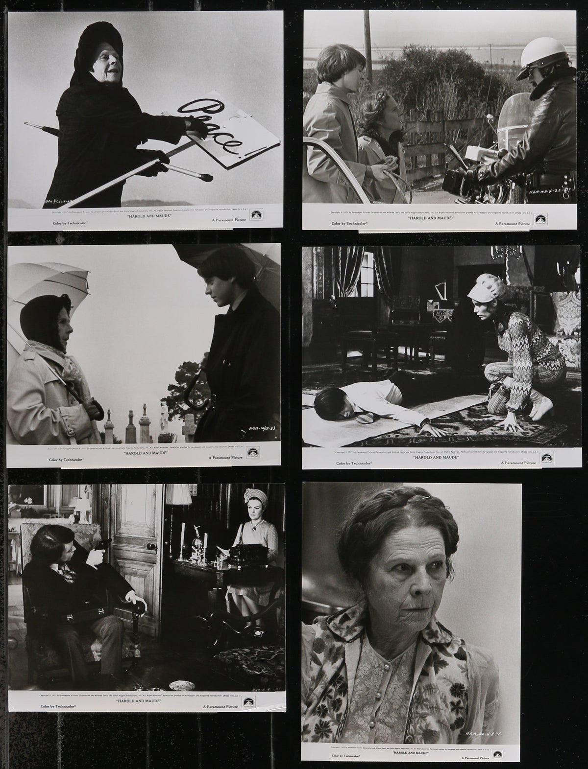 Harold and Maude Original Vintage Movie Poster