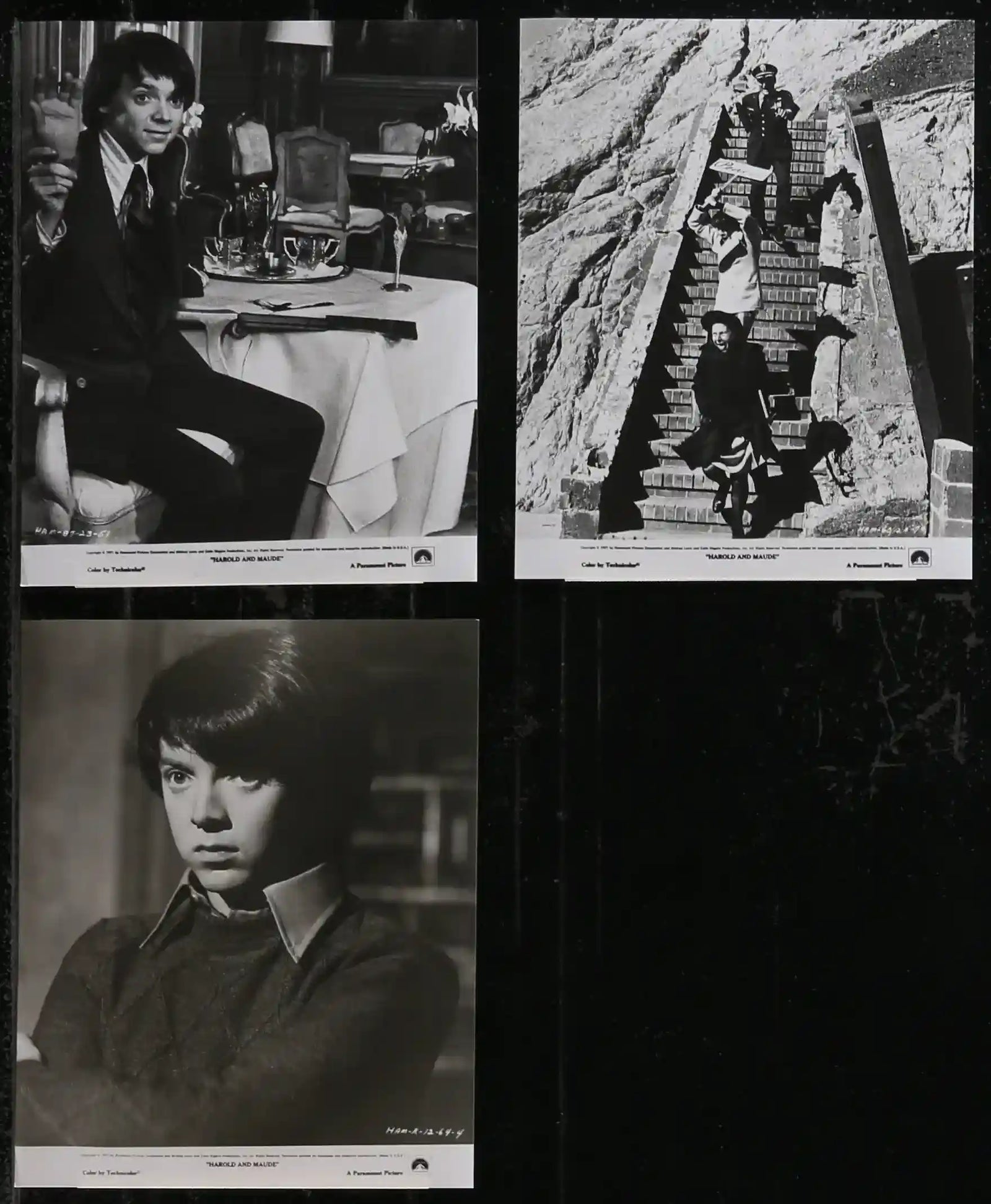 Harold and Maude Original Vintage Movie Poster