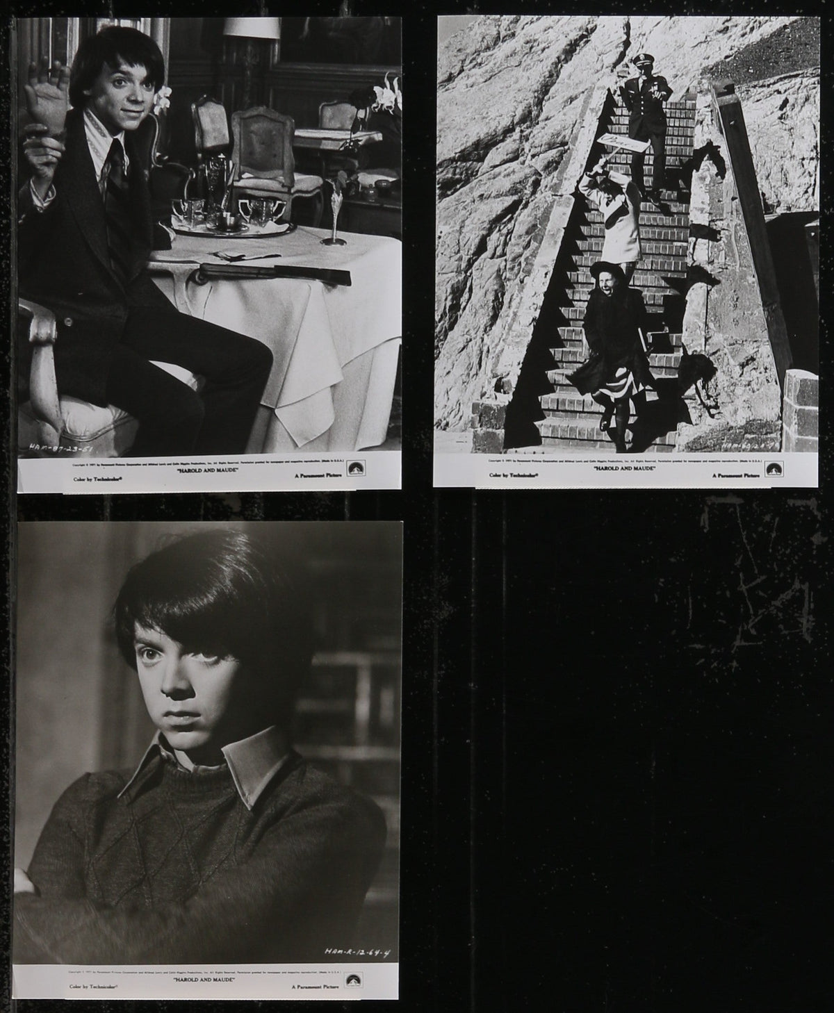 Harold and Maude Original Vintage Movie Poster