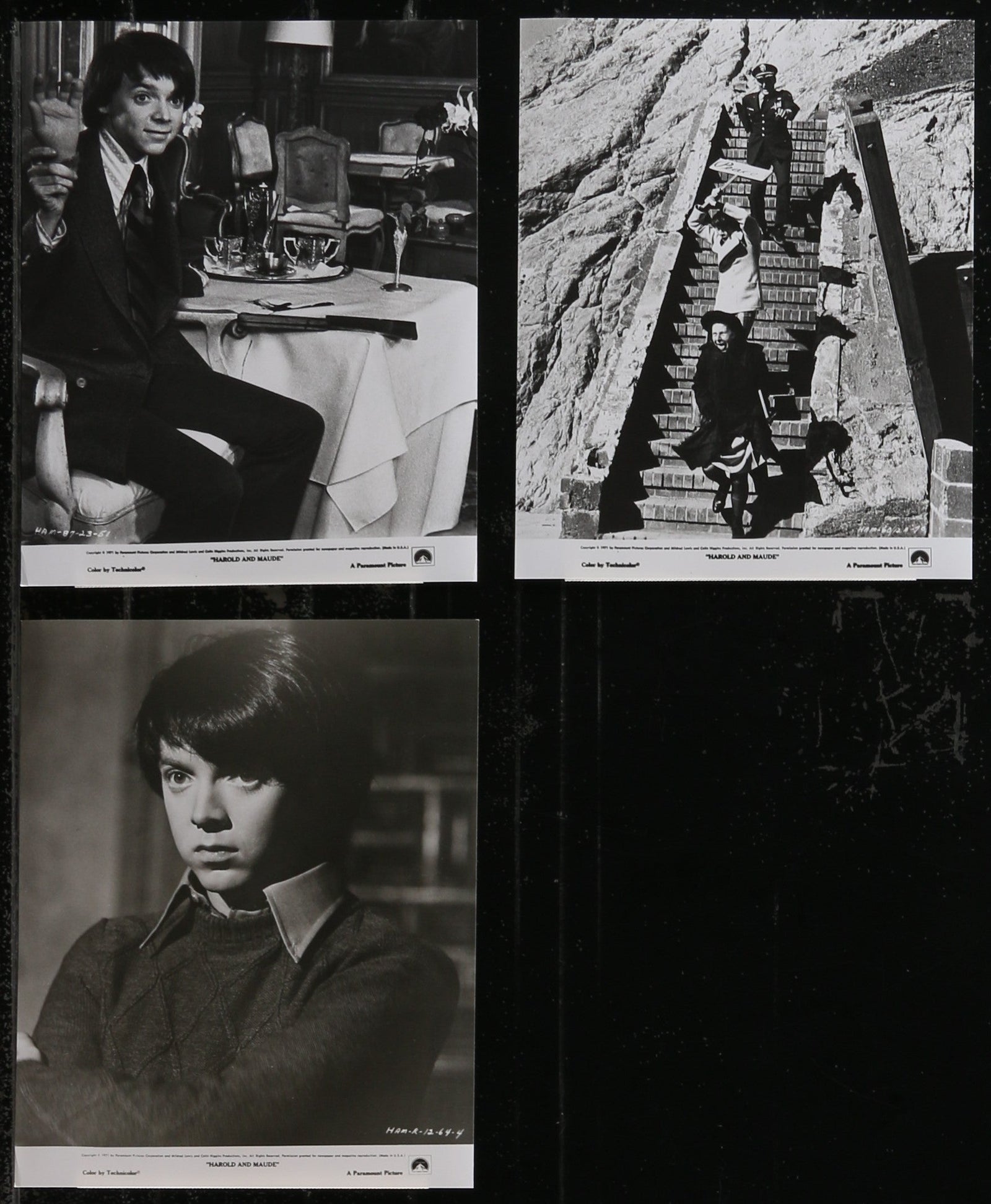 Harold and Maude Original Vintage Movie Poster