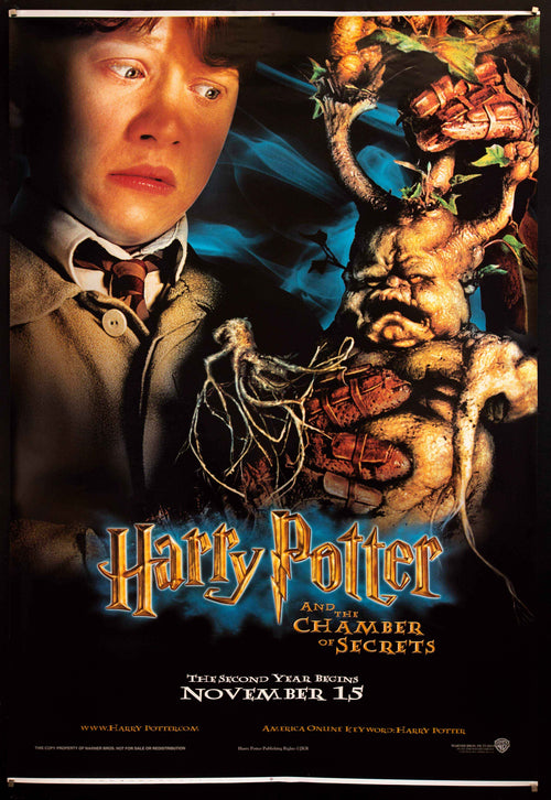 Harry Potter and the Chamber of Secrets Original Vintage Movie Poster