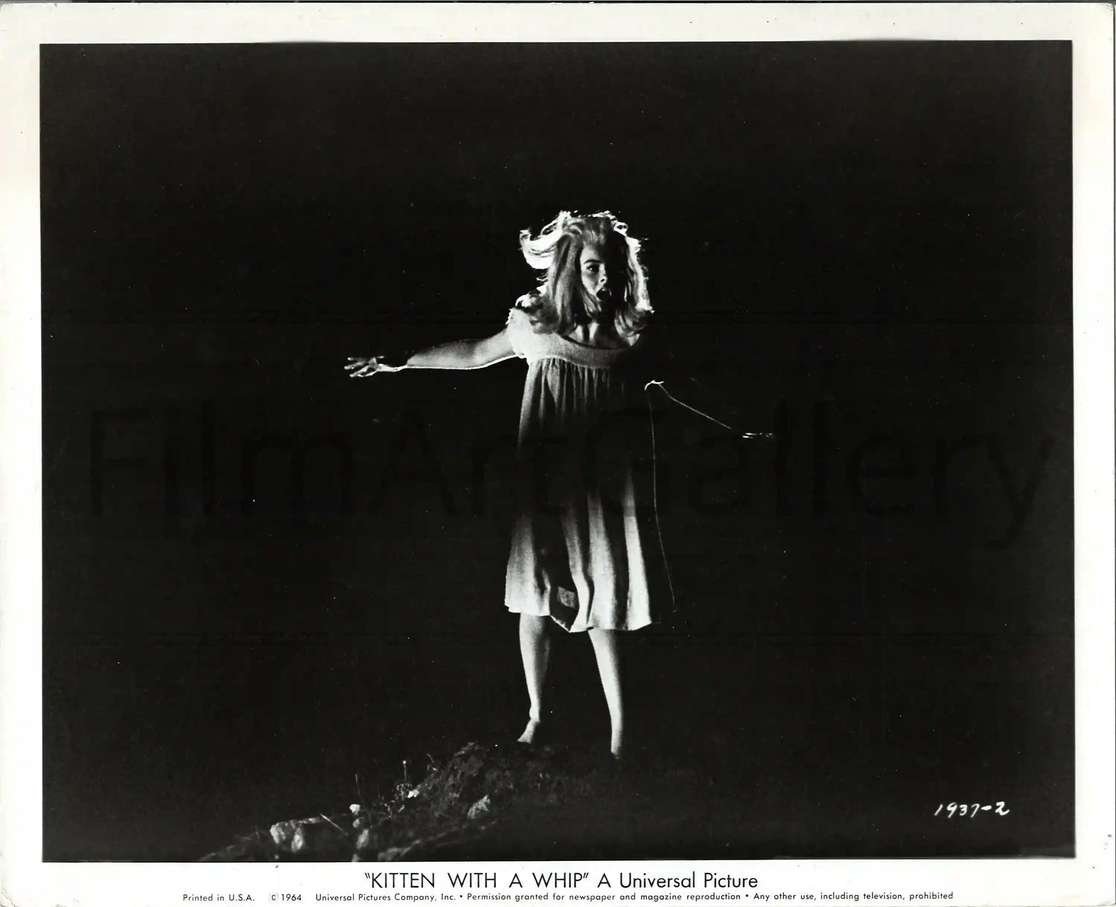 Kitten With a Whip Original Vintage Movie Poster