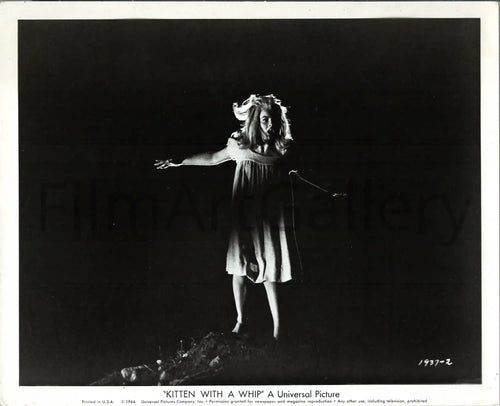 Kitten With a Whip Original Vintage Movie Poster