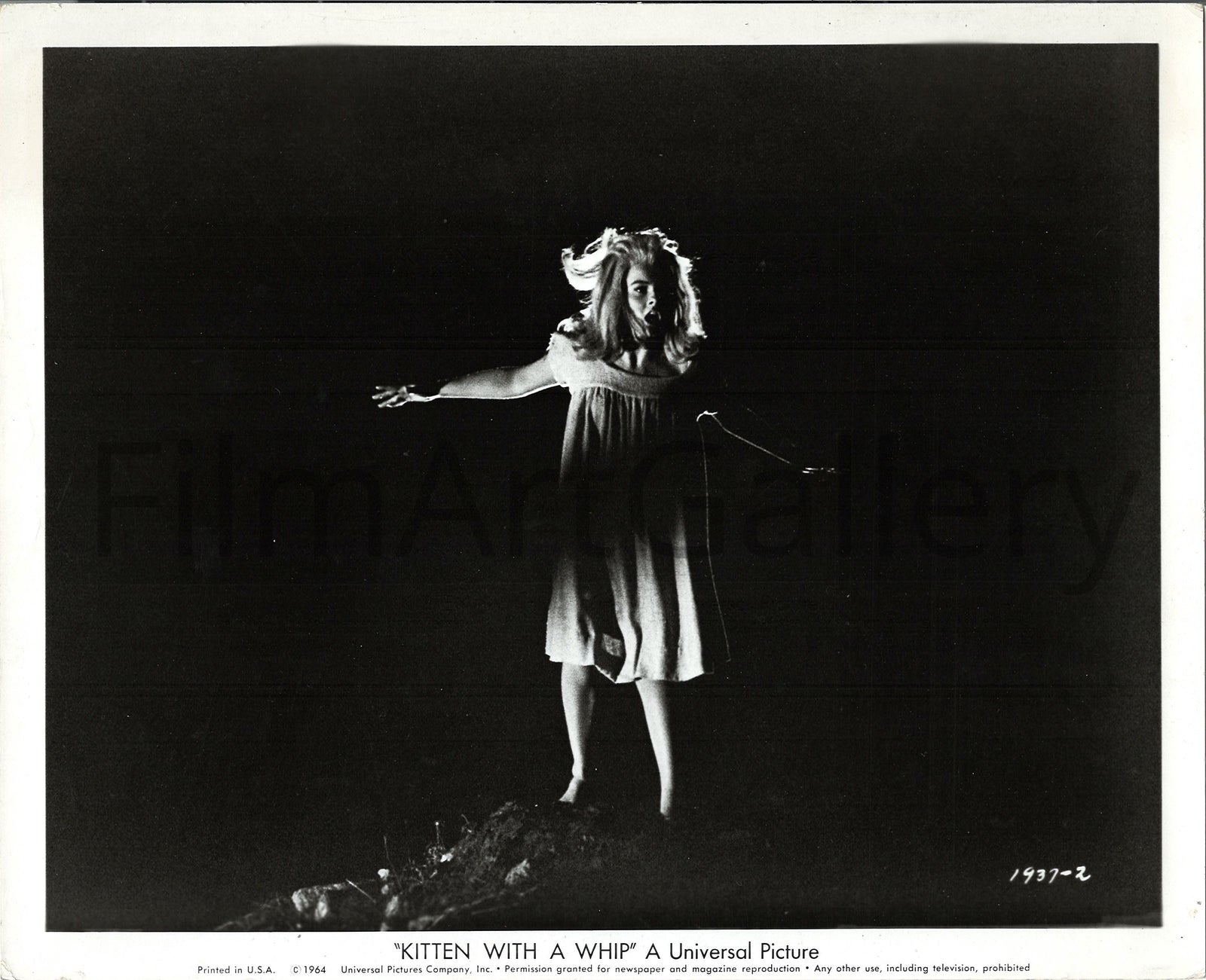 Kitten With a Whip Original Vintage Movie Poster