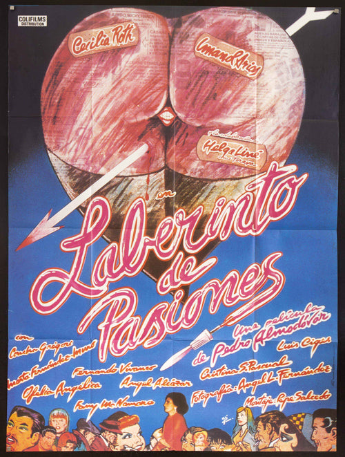 Labyrinth of Passion Original Vintage Movie Poster